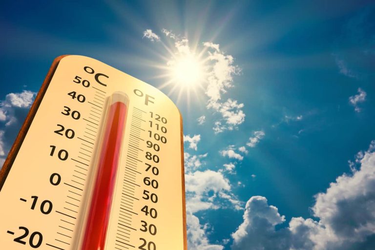 Onda de Calor: confira 14 dicas para manter a saúde em dias de altas temperaturas