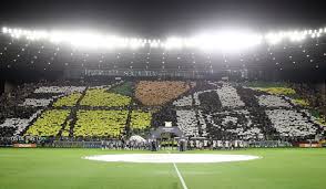 torcida botafogo