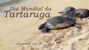 dia-mundial-da-tataruga.jpg 23 de maio de 2025 37 KB 600 por 333 píxeis Editar imagem Excluir permanentemente