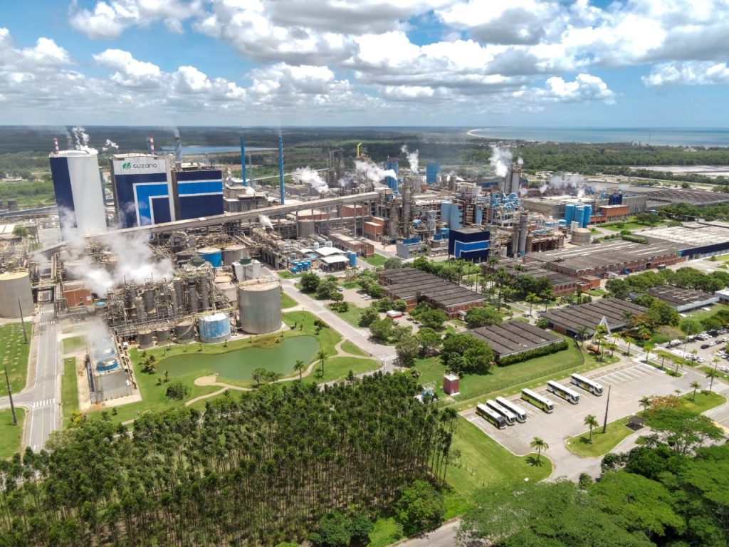 Suzano e a responsabilidade socioambiental