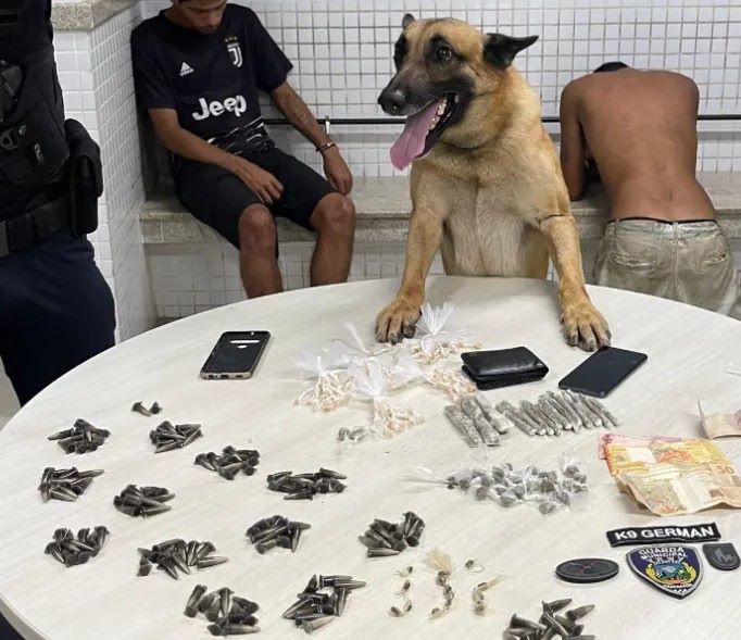 efetivo da Guarda Municipal