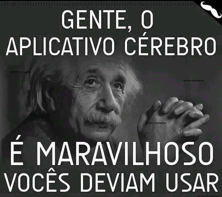 charge-einstein-e-o-cerebro-outra.jpg
