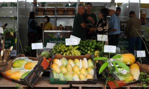 produtores rurais