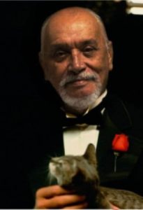 Don-Oleari.jpg
