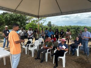 dia de campo