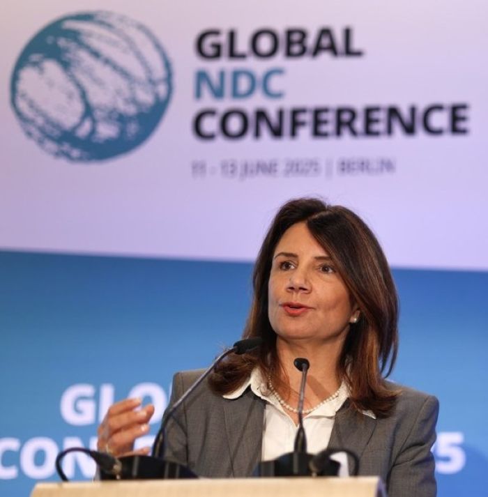 ana-CEO-da-Cop-30.jpg