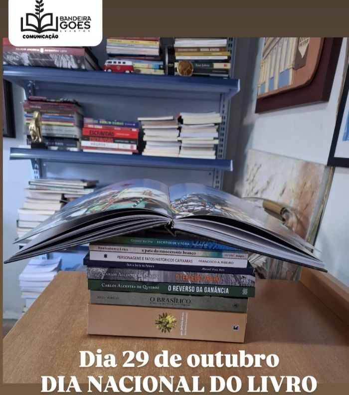 dia-29-dia-nacional-do-livro.jpg
