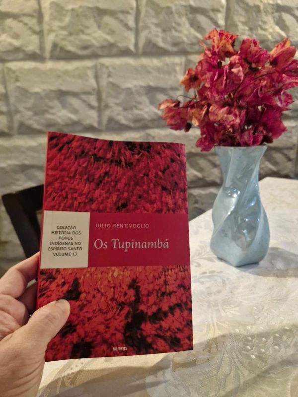 Capa-Os-Tupinamba.jpg